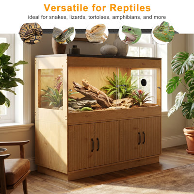 Terrarium 120 gallons avec support 4X2X2 et armoire de rangement