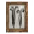 Noyer sélectionné