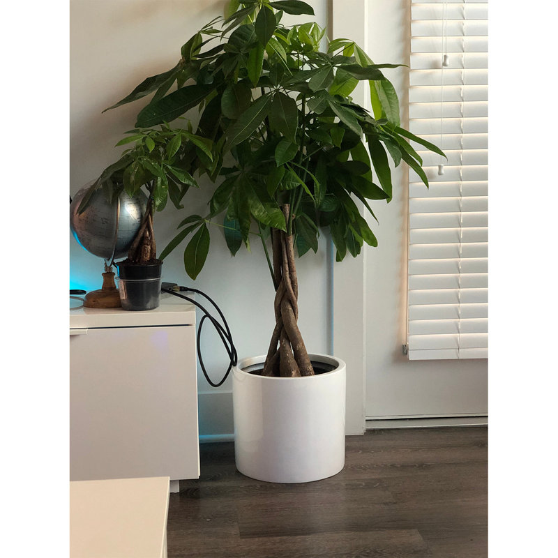 Blumfeldt Planter Cachepot Fiber Stone In/Outdoor