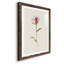 Mauve Garden Flowers VI - peinture encadrée-955008974-955008962