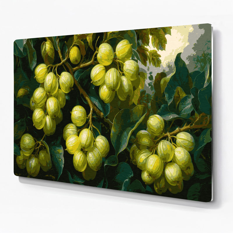 «Fruit Mamoncillo», art mural en métal vert, H 11 po x l 14 po
