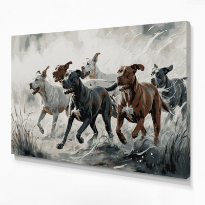 Dogs Dogo Argentino Gray Canvas Wall Art