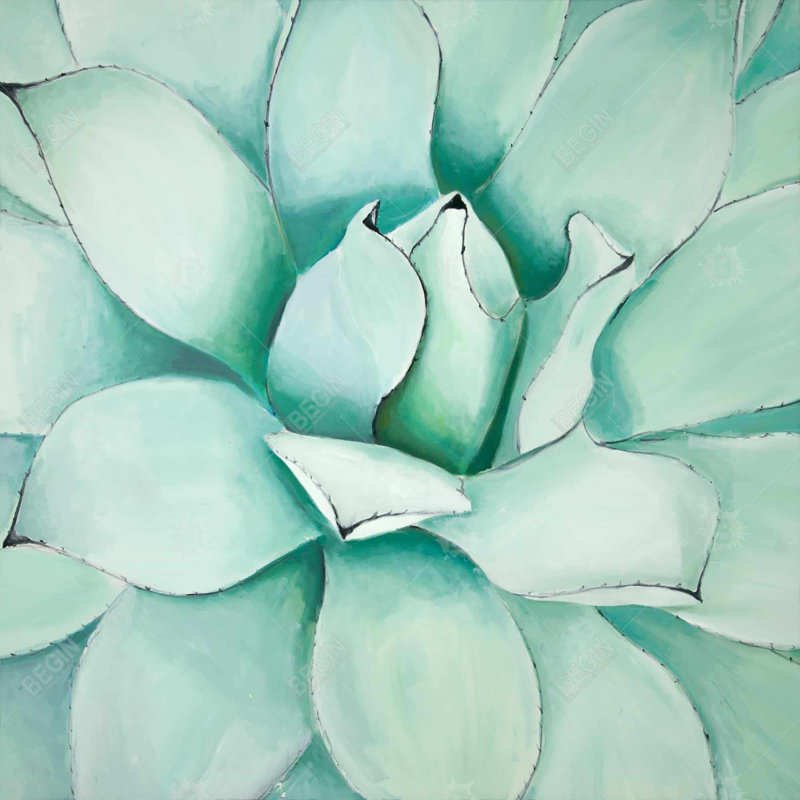 Succulent Closeup - Neo Mint Bathroom Poly Twill Throw Decor