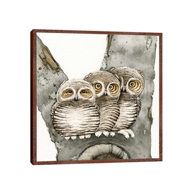Three Owls by Tracy Lizotte - Painting on Canvas