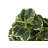 Martinez 14'' Faux Ficus Plant in Polypropylene (Pp) Pot