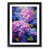 Black Framed selected
