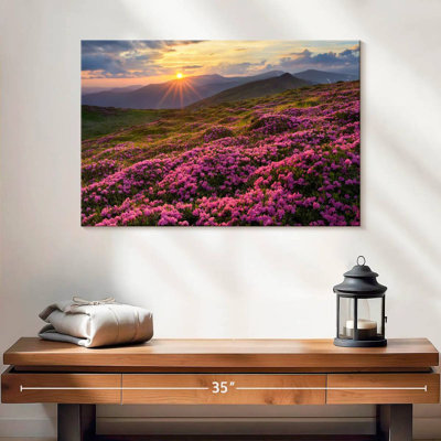 Alvord Sunlit Rhododendron Flower Field