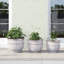 Lapis Pot Planter - Set of 3-1424471249