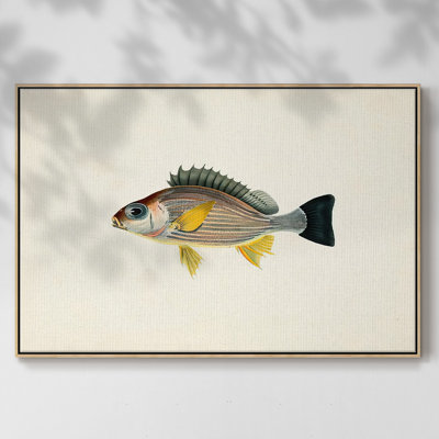 Collection de poissons tropicaux III, reproduction sur toile encadrée