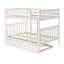 Lit superposé standard en bois massif avec lit gigogne Bolles-561468235-561468273