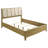 Pine Upholstered Queen Panel Bed-312779812