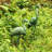 Brooke Animals Metal Garden Statue