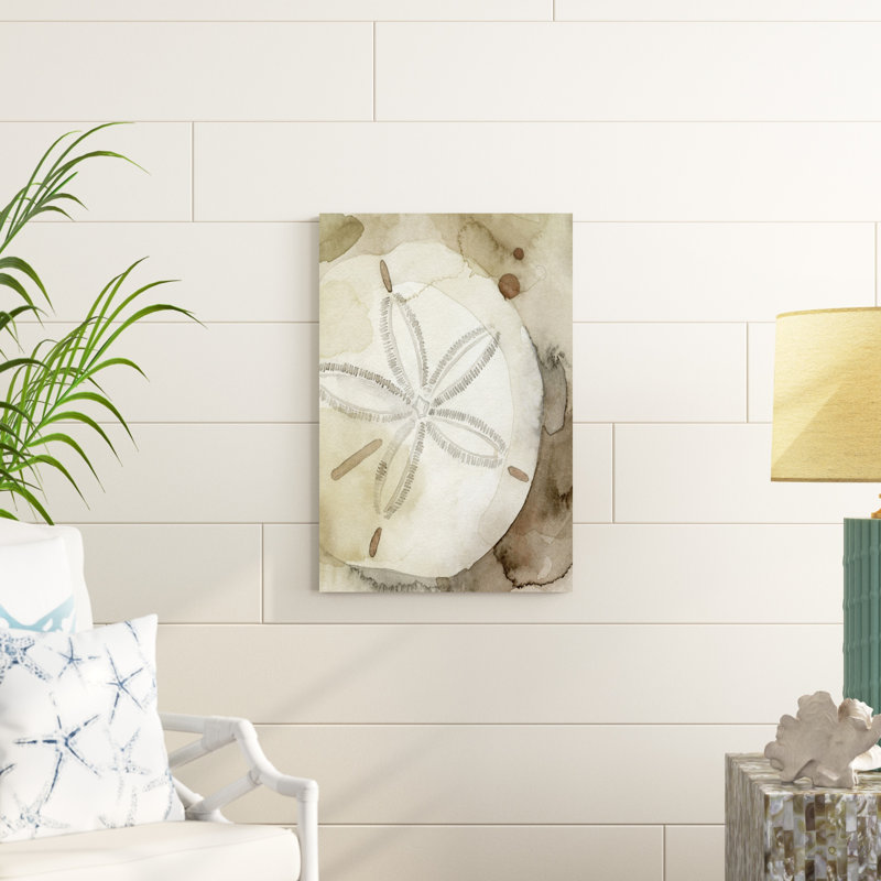 " Dry Sand Dollar I " by Grace Popp, 30" H x 20" W x 1.25" D