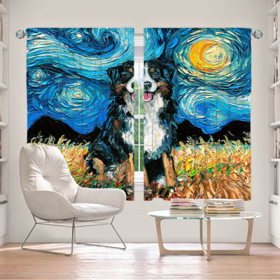 Fayyad Room Darkening Curtain Pair