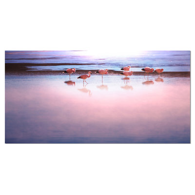 "flamant rose oiseaux on bolivie beach" , reproduction de photo sur toile tendue