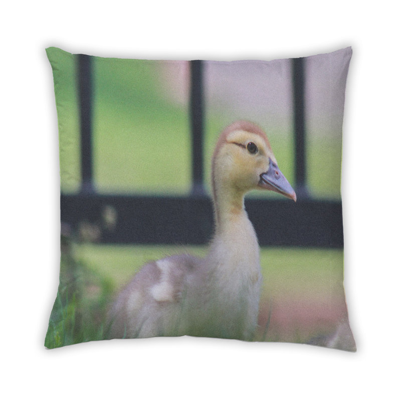 Throw Pillow, Synthetic
