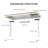 Landaverde 55"x28" Dual Motors Height Adjustable Standing Desk Wireless Charging with Drawer-217276354-205472701