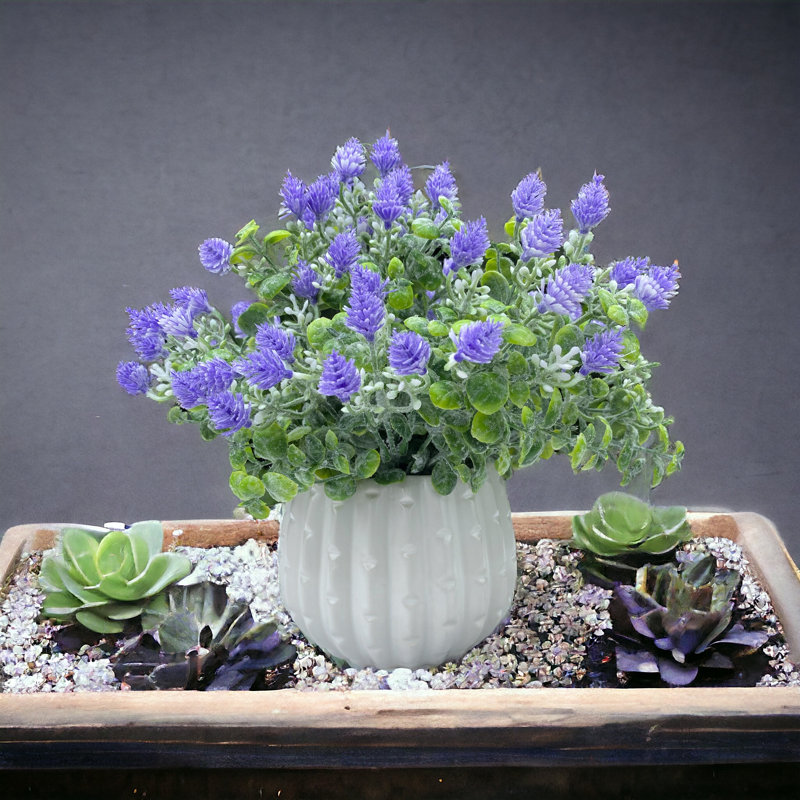 Arrangement de bébé en pot, Mauve