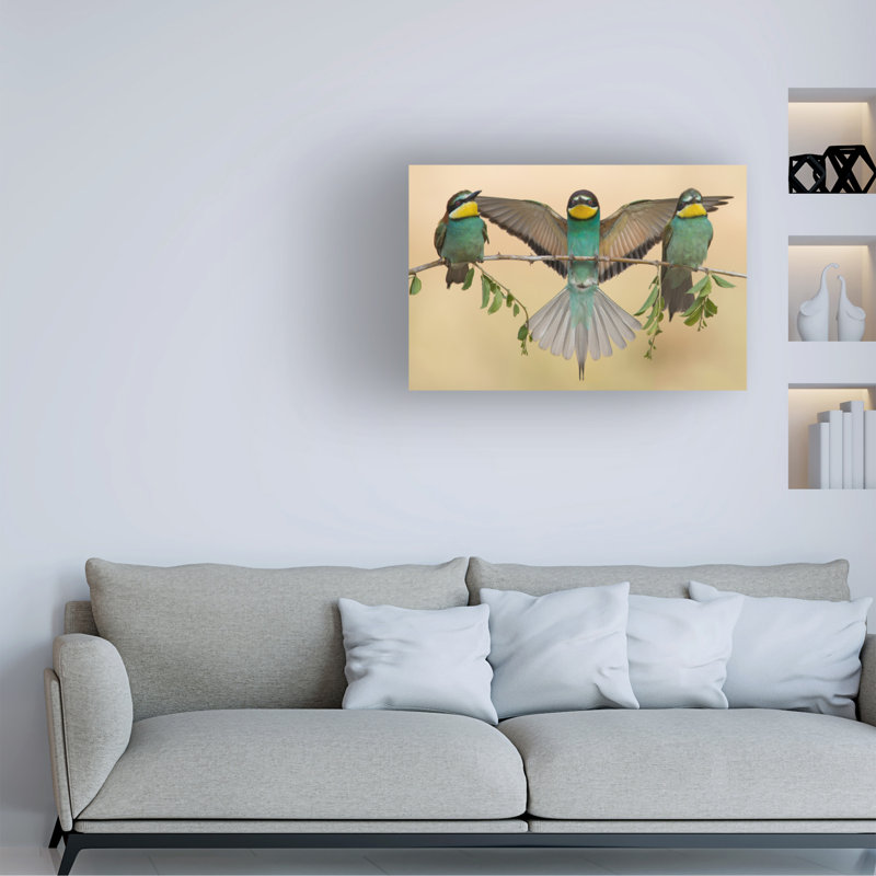 Eliran Sagie Bee Eaters Trio Canvas Art, H 12 po x l 19 po