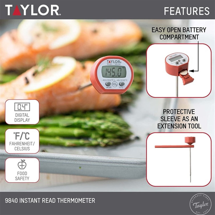 Taylor Pro Anti-Microbial Instant Read Thermometer - Shop Utensils &  Gadgets at H-E-B