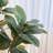 72 " H Faux Magnolia Tree in Plastic Pot