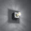 Wall lamp ARIZ natural wood-1664840218