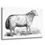 «Ewe» par Art Licensing Studio, art mural en verre acrylique, 36 po x 24 po-865398868