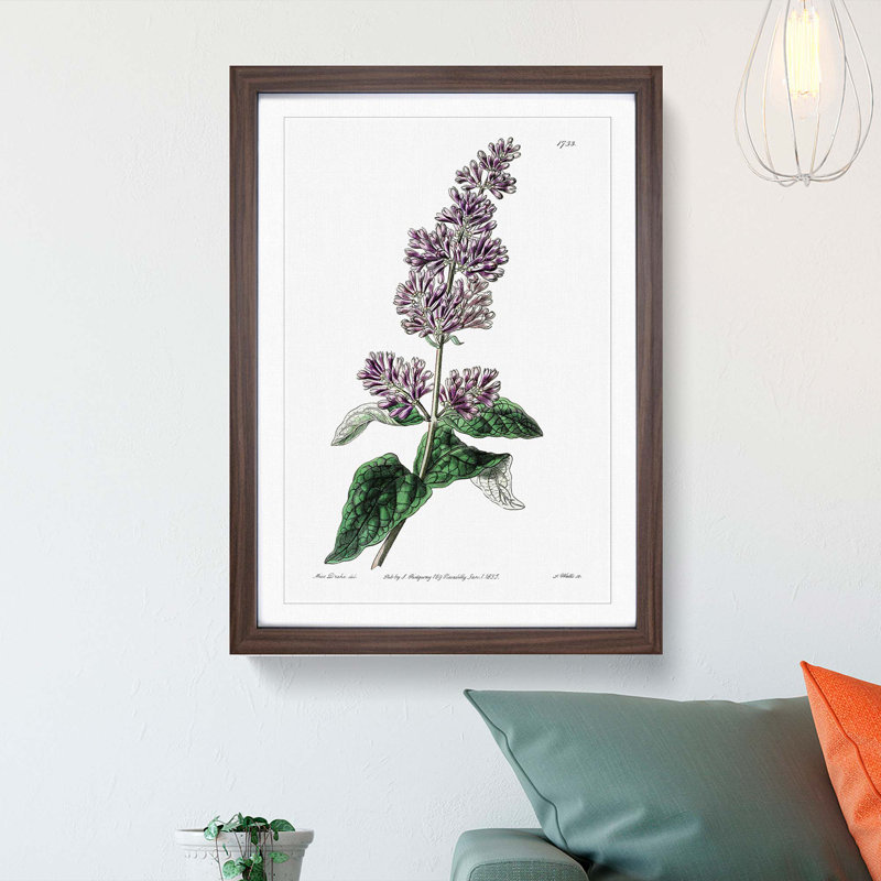 Hungarian Lilac Flowers - Framed Print, Walnut Framed, 36cm H x 27cm W x 2cm D