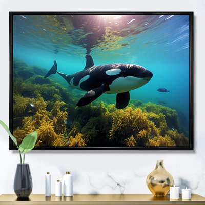 " Teal Black Marine Animals Majestic Orcas "