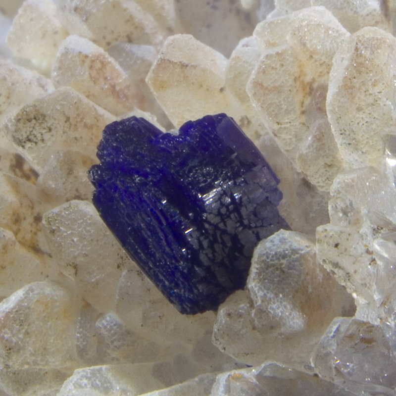 Azurite on Quartz Rosette - Zoila Mine, Mexico