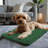 Small Dog Beds For Puppies - Soft, Washable Mats Specifically Designed For Cages, Chew Proof And Travel-Friendly, Perfect For Small Breeds, Machine Washable Component And Durable For Long-Lasting Use& Cats