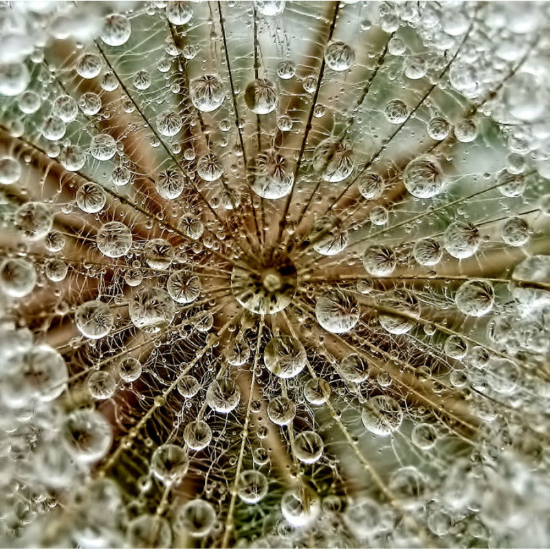 Wrapped Canvas Print, 121.92 cm H x 81.28 cm W