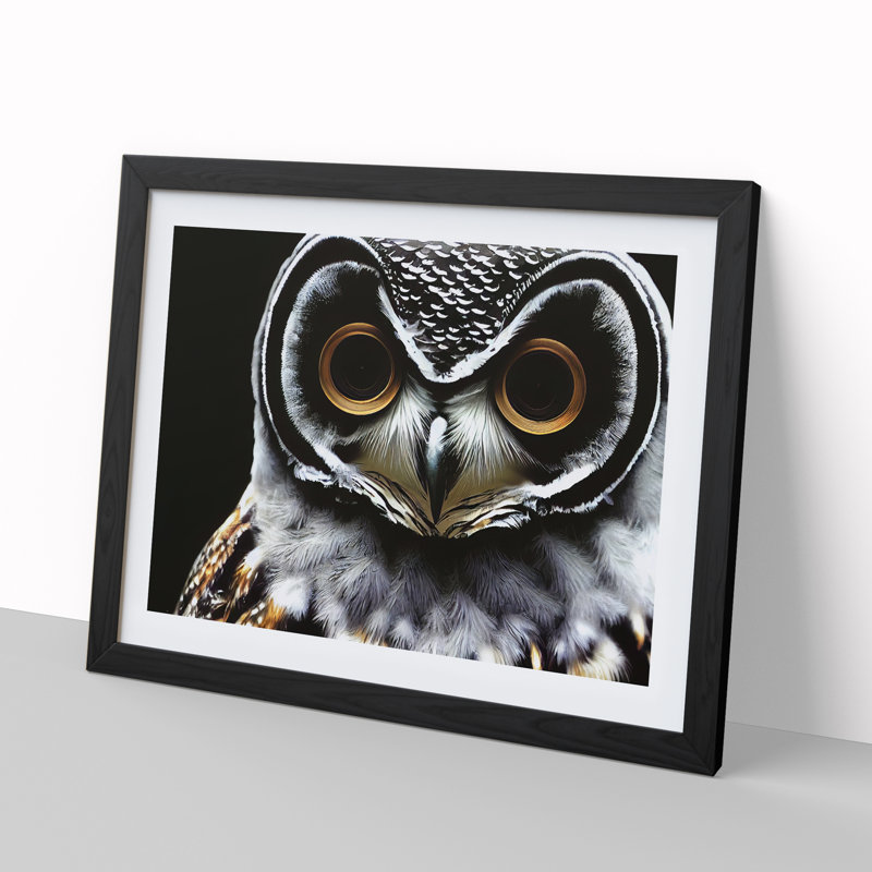 Favourable Owl - Single Picture Frame Print, 46cm H x 64cm W x 2cm D, Black