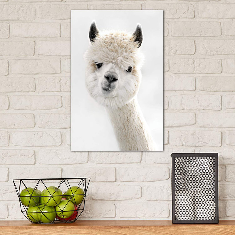 Peeky Alpaca 1 Piece Wrapped Canvas Wall Art, 30.48 cm H x 45.72 cm W