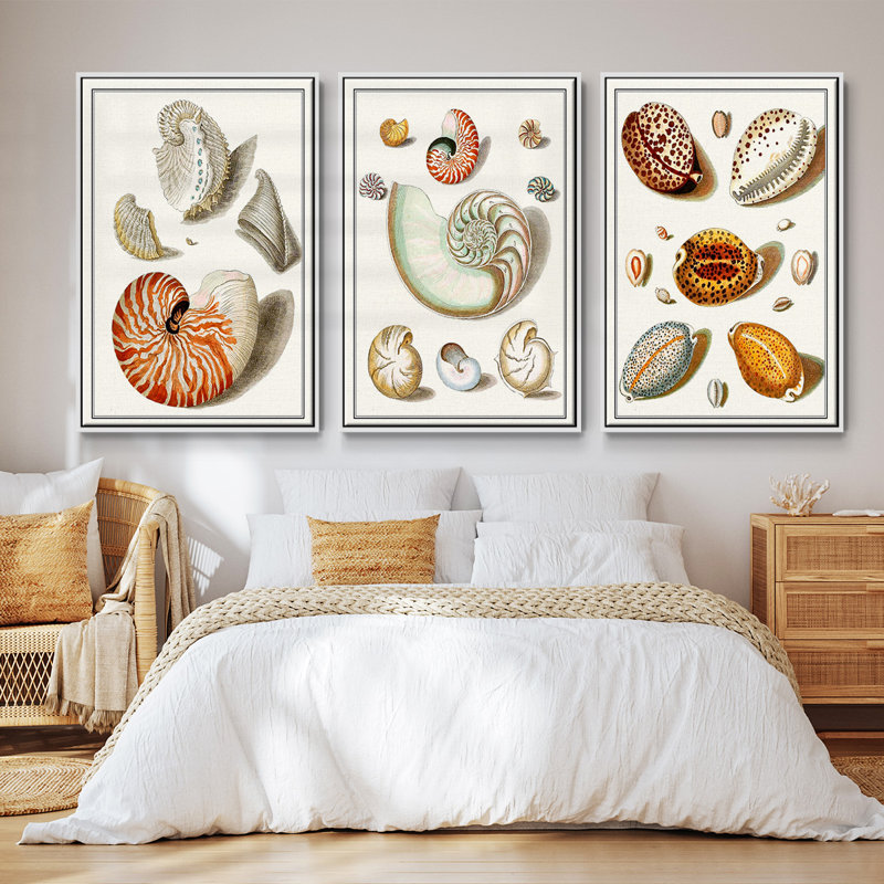 Collection Shells I - Ensemble de 3 cadres flottants sur toile, H 40 po x l 78 po, Cadre flottant blanc