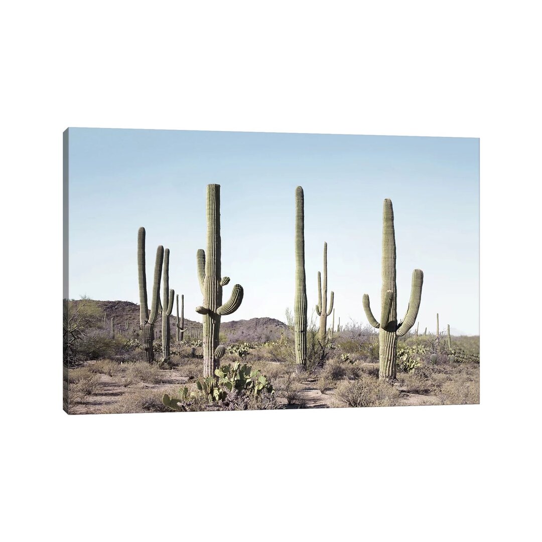 Cactus Land von Sisi & Seb - Galerie-verpackte Leinwand Giclée