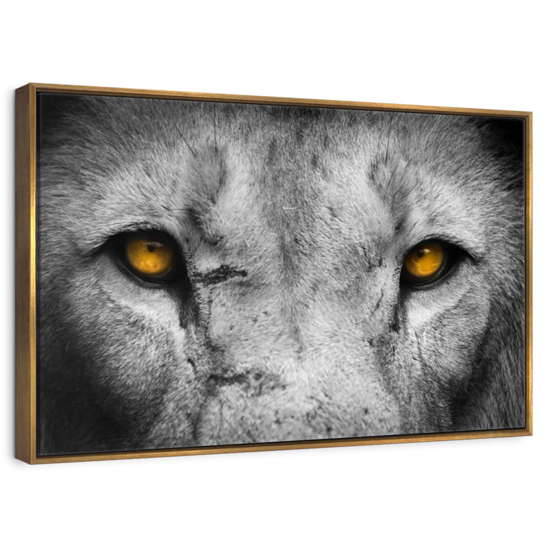 Pop aux yeux de lion, Cadre flottant doré, 43 po x 29 po