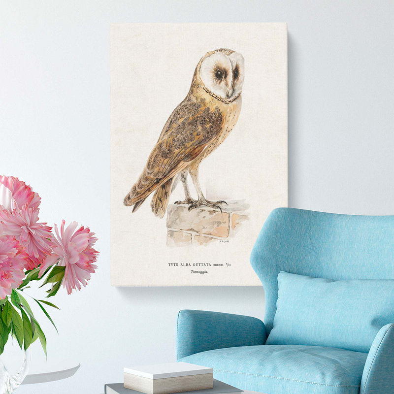 Perched Owl by Von Wright - Wrapped Canvas, 91cm H x 60cm W x 3cm D