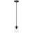 Pieternella 1 - Light Matte Black Single Pendant