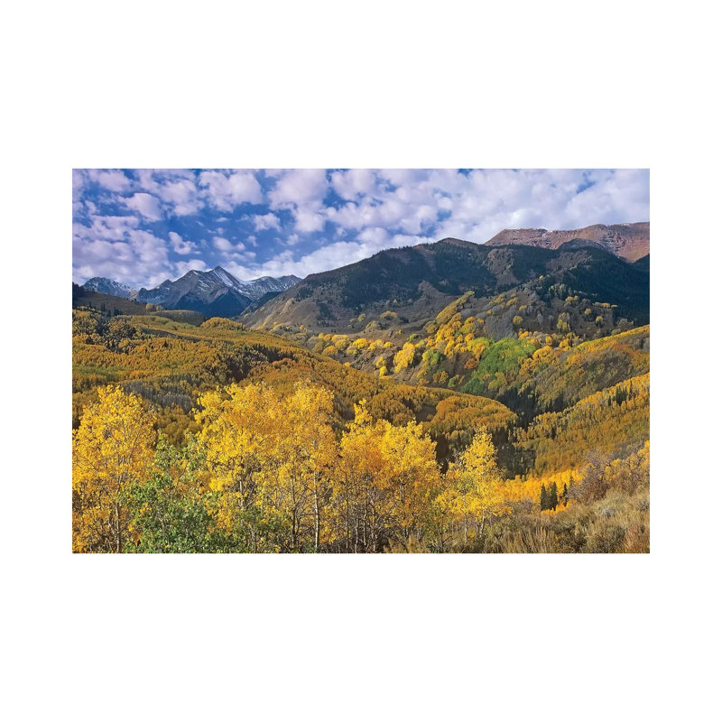 Quaking Aspen In Autumn, Colorado I by Tim Fitzharris - Wrapped Canvas Gallery-Wrapped Canvas Giclée, 20.32 cm H x 30.48 cm W