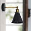 Hollard Armed Sconce