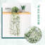 Fake Plants Artificial Hanging Eucalyptus Plants Faux Ivy Vines for Bathroom Shelf Bedroom Wall Decor Indoor 1Pcs