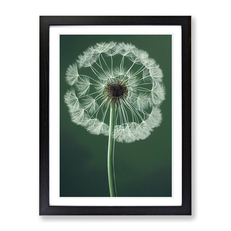 Malinta Dandelion Portrait Vol.2 - Framed Print, 64" H x 46" W, Brown