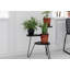 Montegue Plant Stand-806039068
