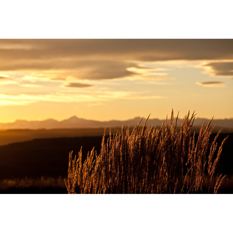 Mountain Grass by ImagineGolf - Wrapped Canvas Print, 61cm H x 91cm W x 3.8cm D