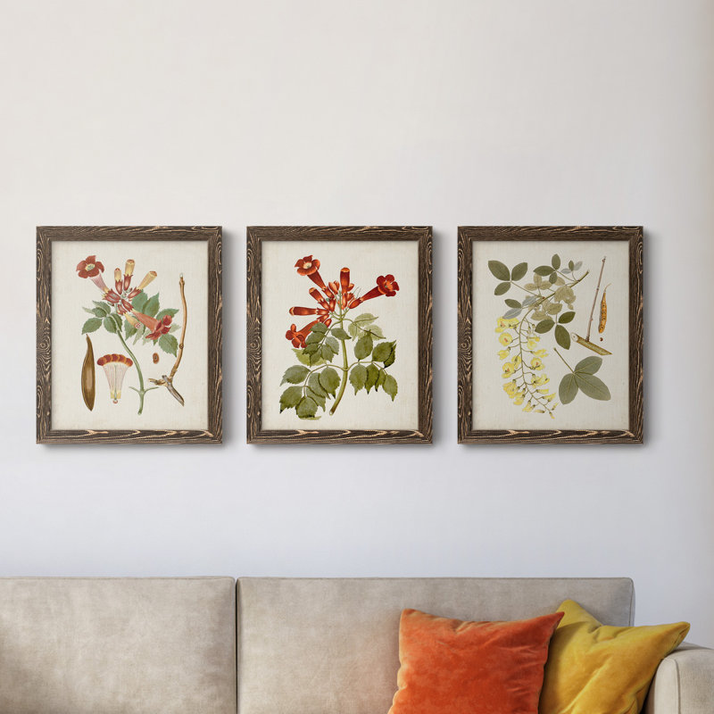 «Vintage Flowering Trees V», ensemble de 3 cadres photo sur toile, H 24 po x l 36 po x P 1,5 po, Noyer