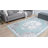 Oriental Indoor Rug-303526841