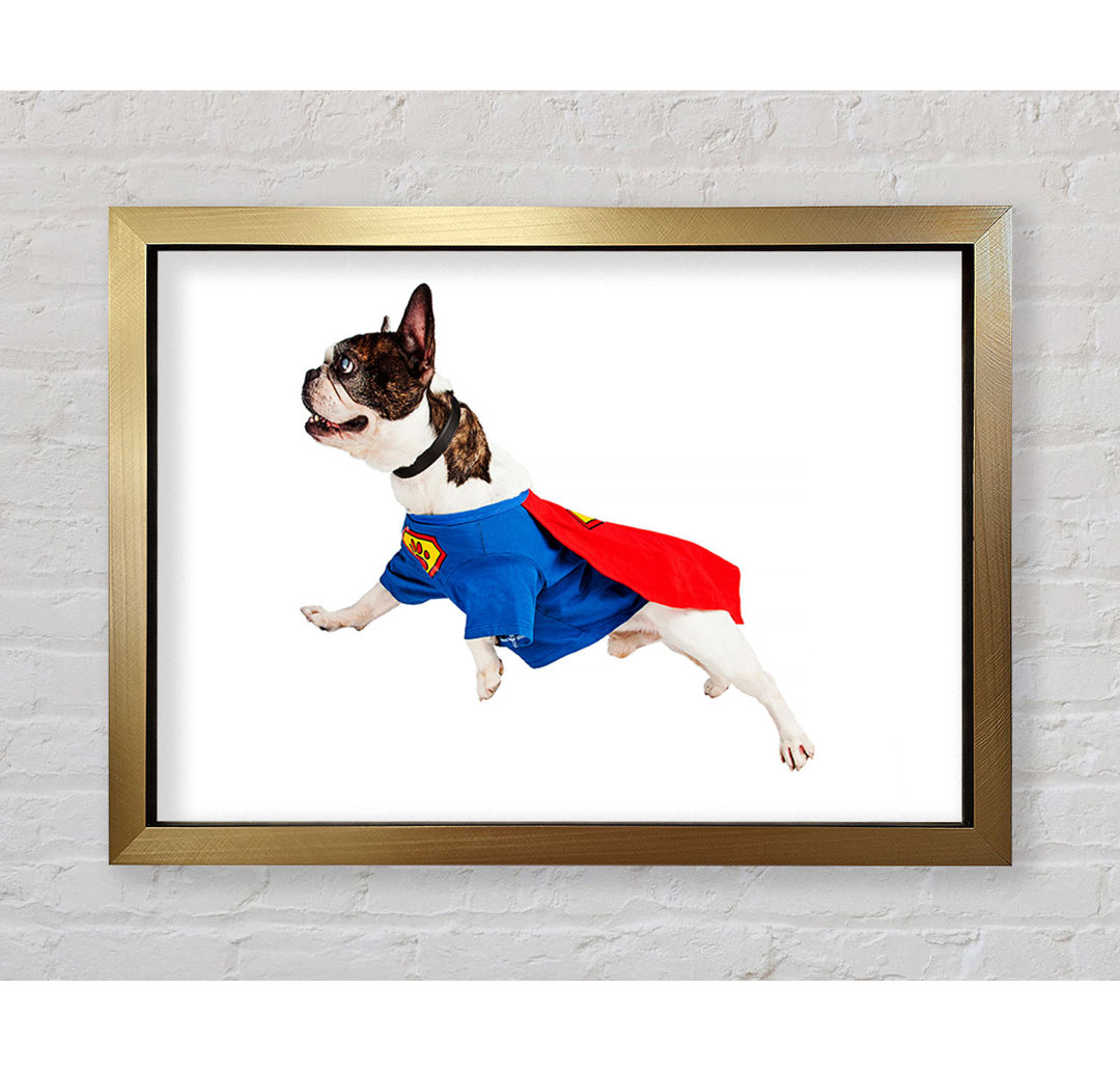 Chadha Super Dog Gerahmter Druck Wandkunst