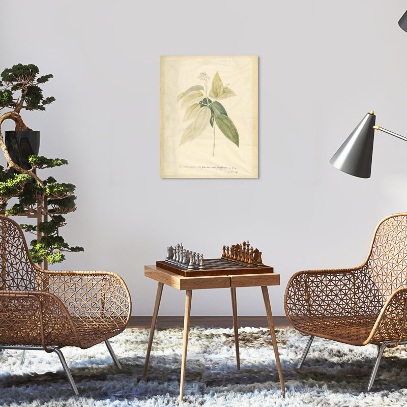 Jacquenette Cinnamomum sur toile, H 20 po x l 16 po x P 0,8 po