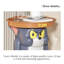 Creative Creative Celebrity Tomcat - pièce de rangement pour plancher en résine